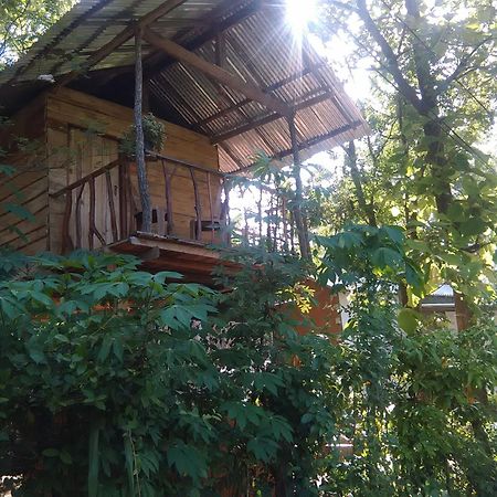 哈伯勒内Angry Birds Tree House公寓 外观 照片