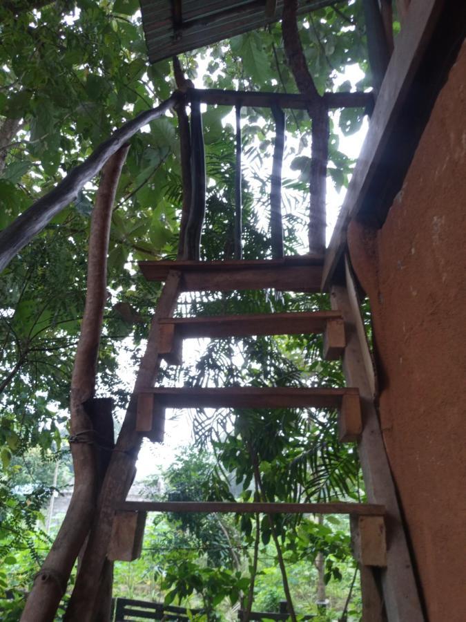 哈伯勒内Angry Birds Tree House公寓 外观 照片