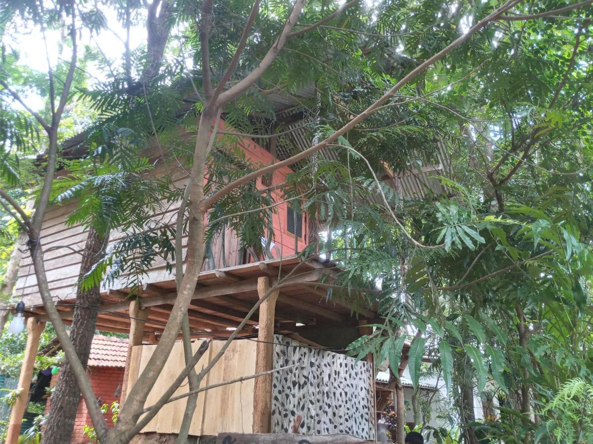 哈伯勒内Angry Birds Tree House公寓 外观 照片
