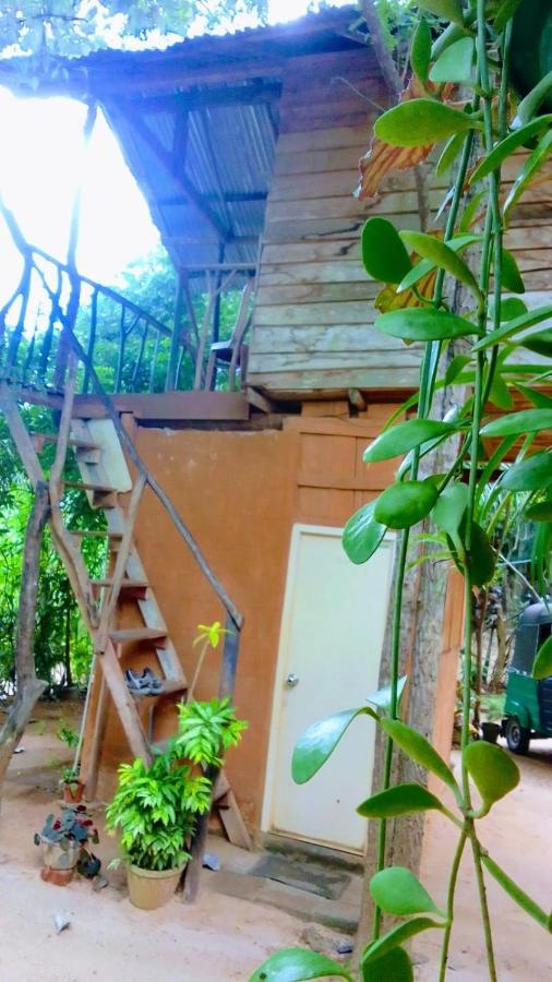 哈伯勒内Angry Birds Tree House公寓 外观 照片