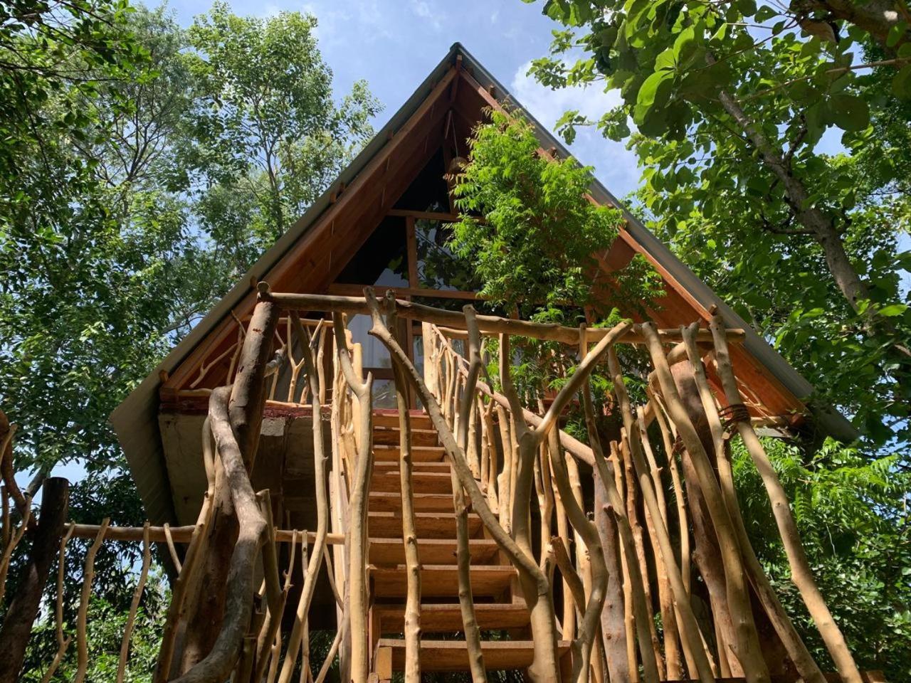 哈伯勒内Angry Birds Tree House公寓 客房 照片