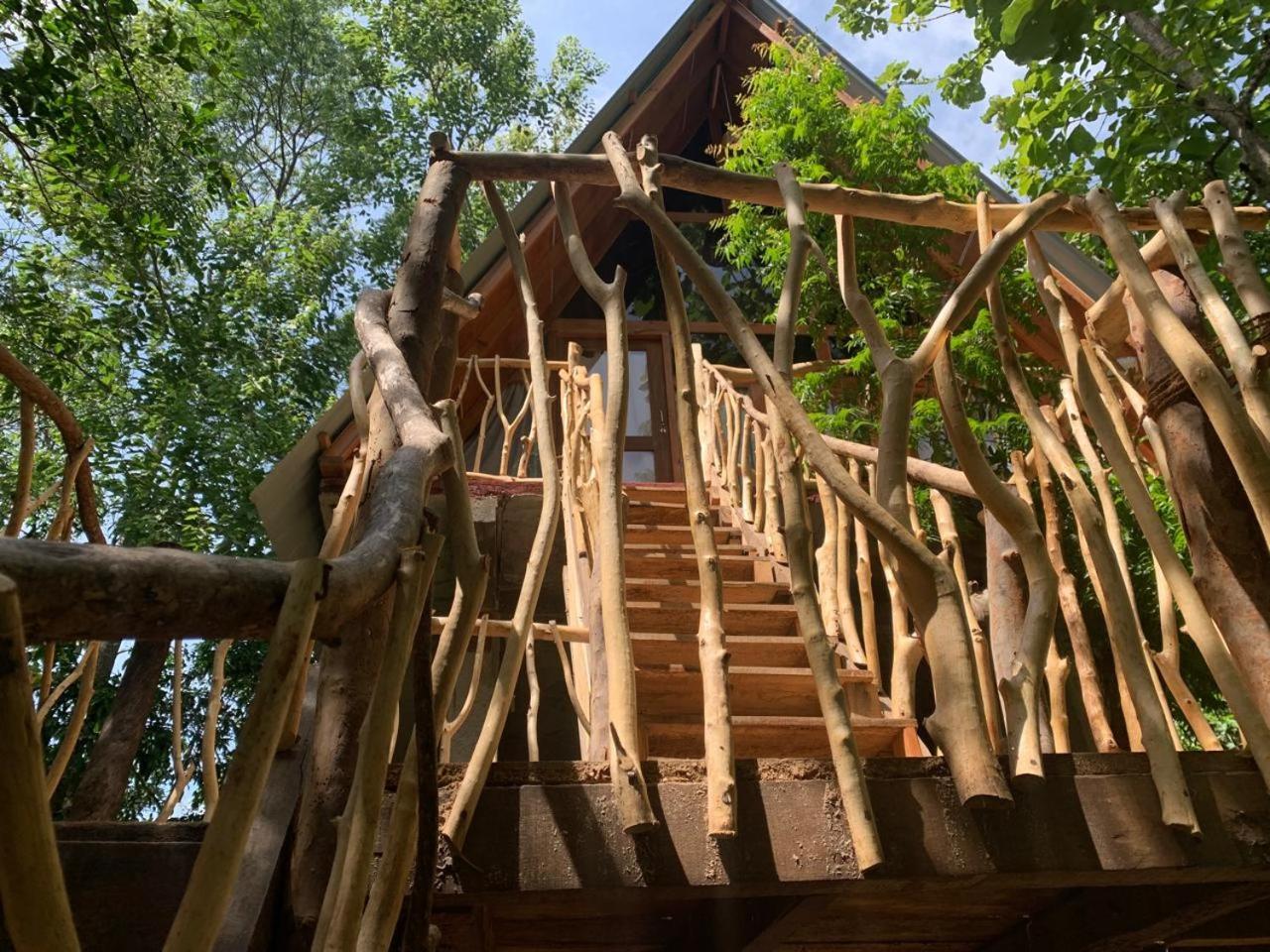 哈伯勒内Angry Birds Tree House公寓 外观 照片