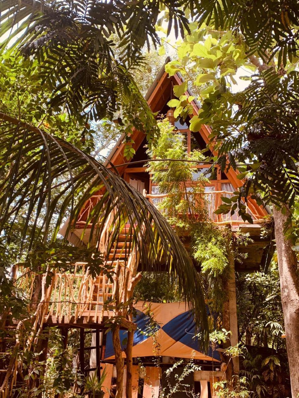 哈伯勒内Angry Birds Tree House公寓 外观 照片