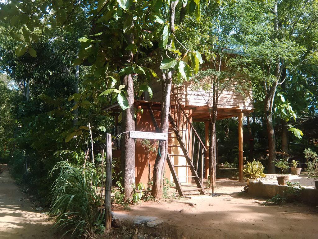 哈伯勒内Angry Birds Tree House公寓 外观 照片