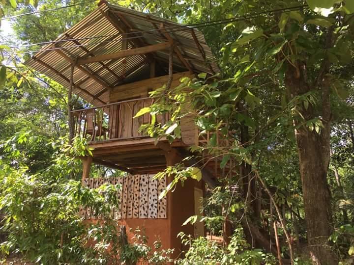 哈伯勒内Angry Birds Tree House公寓 外观 照片