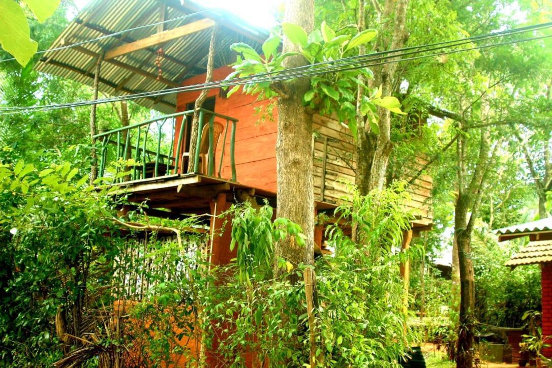 哈伯勒内Angry Birds Tree House公寓 外观 照片